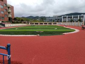 广州奥宏体育专业的学校塑胶跑道,塑胶球场生产厂家
