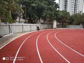 湖南地区校园运动场地学校塑胶跑道一般每平方多少