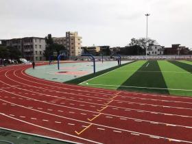 「宁波学校塑胶跑道」学校塑胶跑道和跑道草的区别